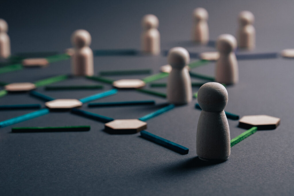 Decentralized organizational network with distributed leadership structure concept